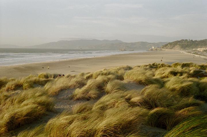 A wide sandy beach with dunes covered in tall grass stretches along the ocean, with mountains in the distance.