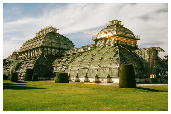 Sunlight shines on a large greenhouse with a glass and metal roof, surrounded by green grass and trimmed bushes.