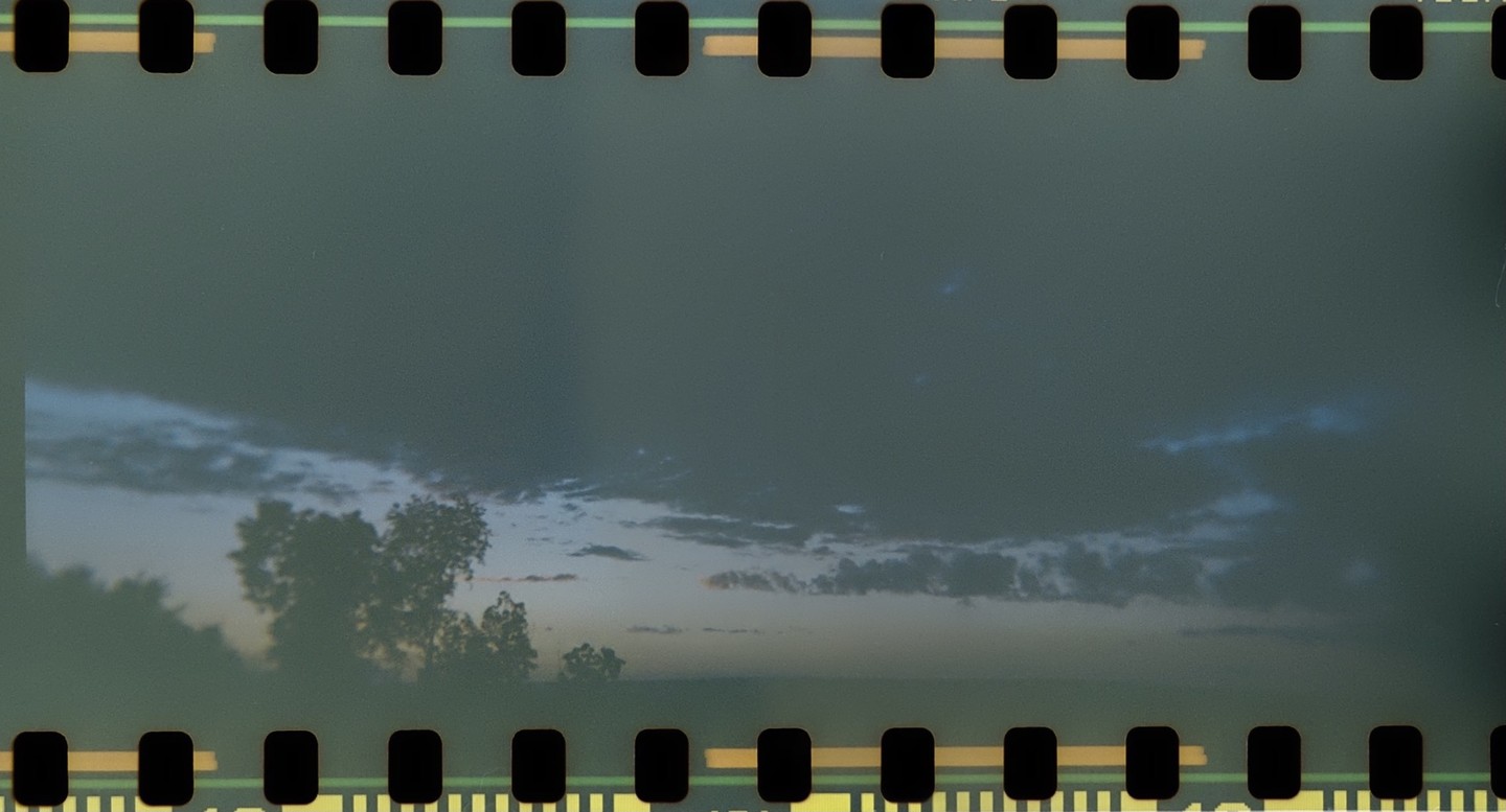 A dark sky with clouds is visible above a line of trees.