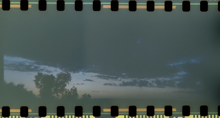 A dark sky with clouds is visible above a line of trees.