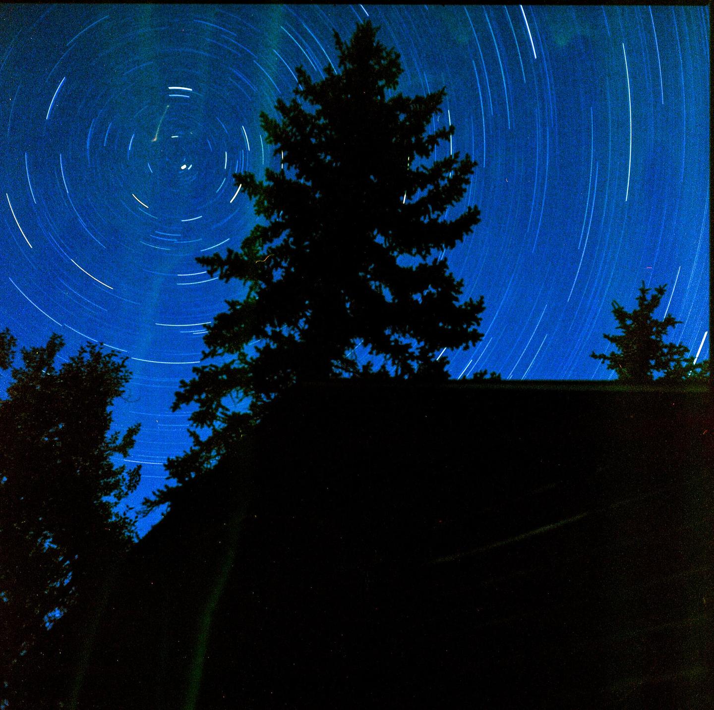 A long exposure captures star trails and a faint green aurora above a dark silhouette of a tree and a building.