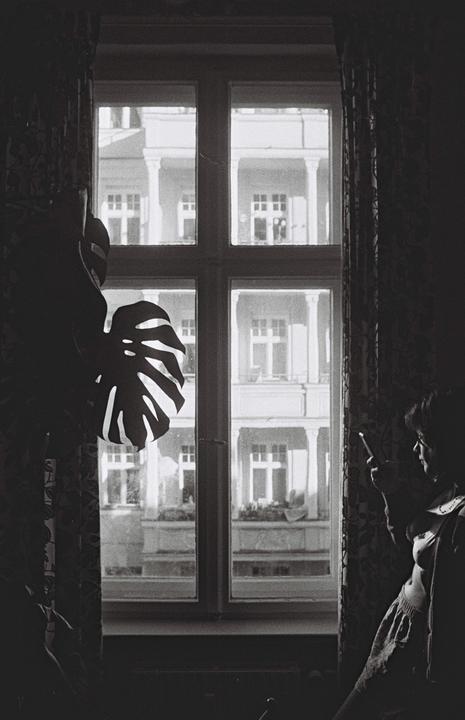 A woman stands by a window, looking at her phone, with a paper monstera leaf hanging nearby.