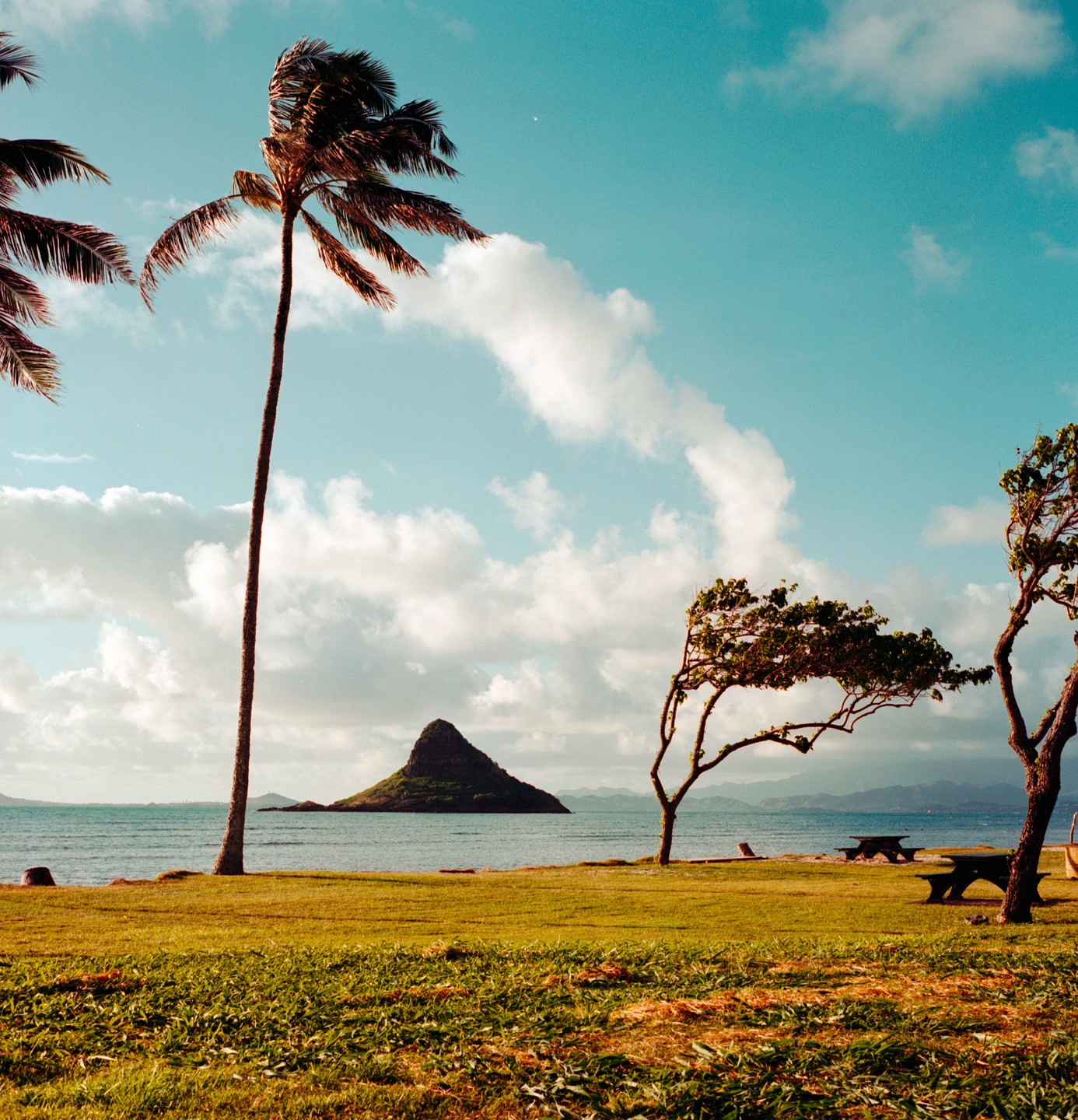A small island known as Chinaman's Hat is visible across the water from a grassy shore with palm trees and picnic tables.