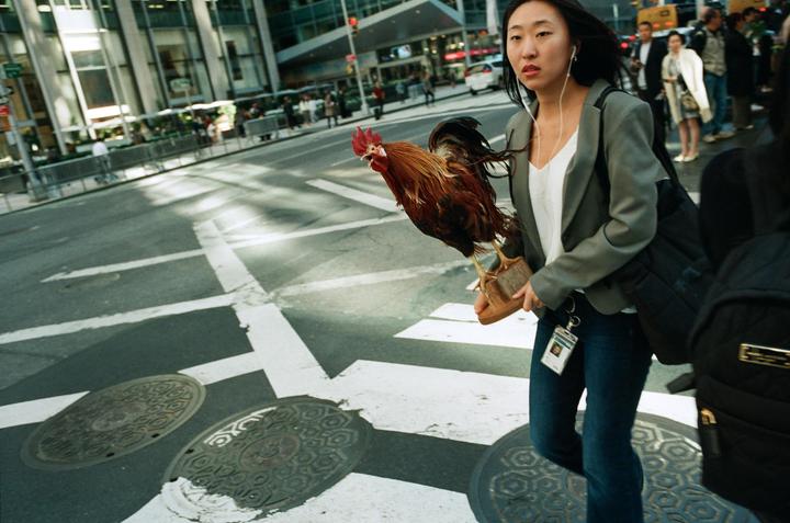 A woman carries a rooster on a busy city street.