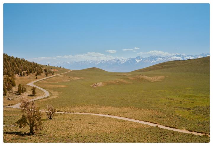 A winding road leads through a grassy landscape with trees on one side and snow-capped mountains in the distance under a clear blue sky.