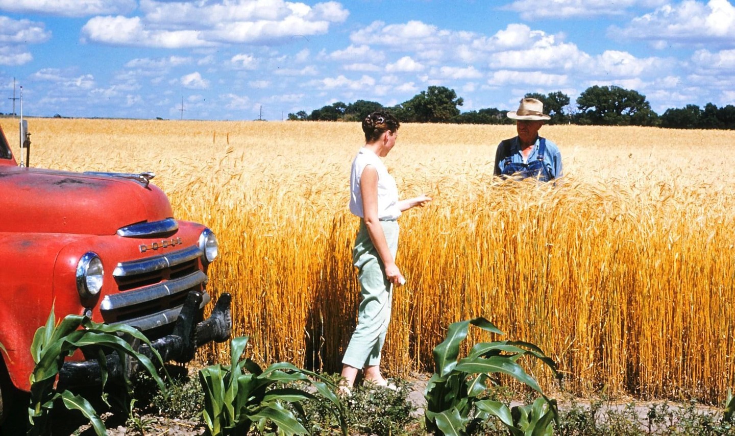 A man and a woman stand in a field of wheat next to a red truck under a blue sky with clouds.