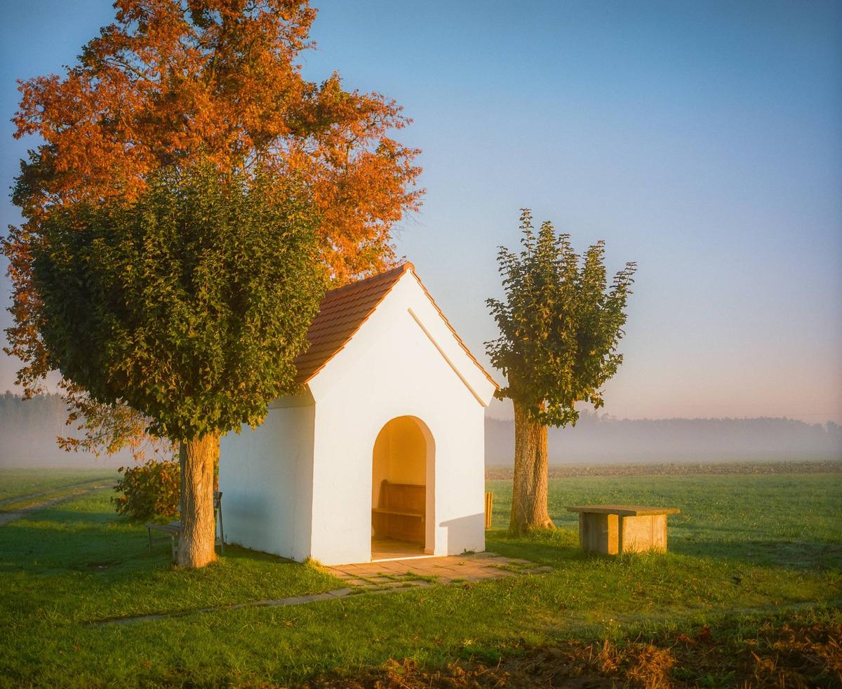 A small white chapel with a red roof stands in a grassy field next to trees with autumn foliage and green leaves, with a misty forest in the background.