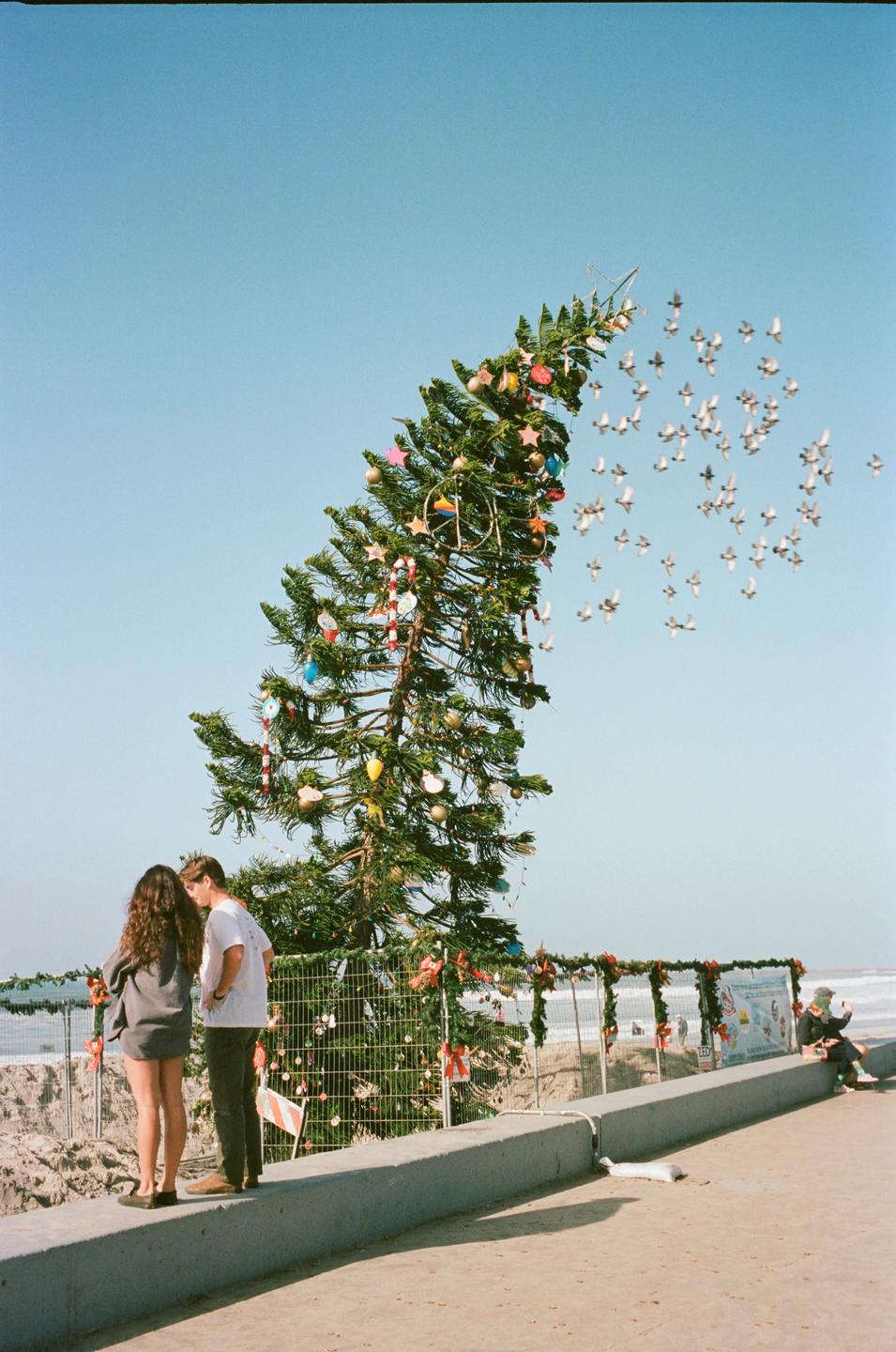A decorated Christmas tree stands on a beach with a flock of birds flying overhead and people nearby.