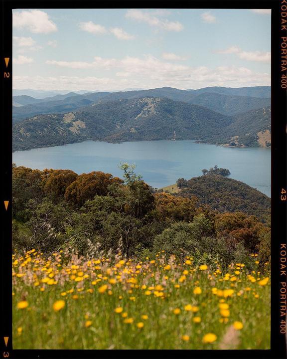 A field of yellow wildflowers overlooks a lake surrounded by hills and mountains under a cloudy sky.