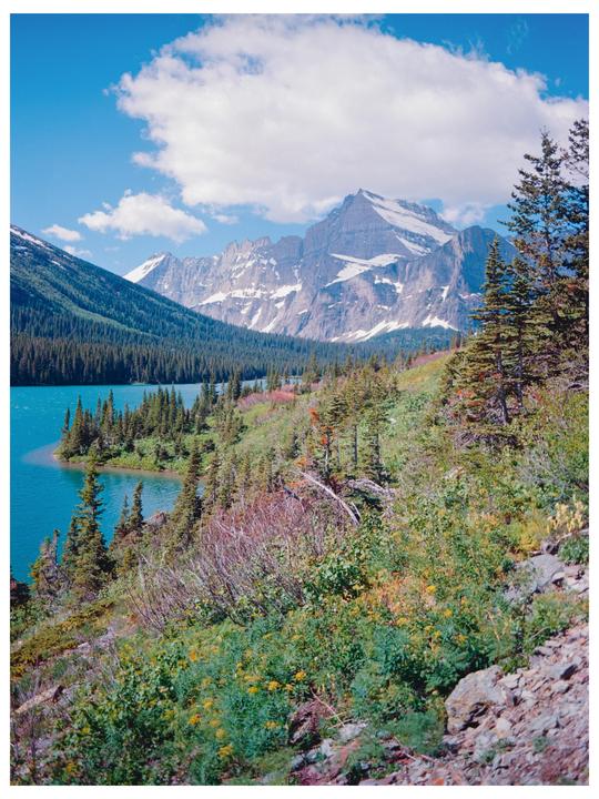 A vibrant blue lake is surrounded by a lush green forest and snow-capped mountains under a bright blue sky with white clouds.