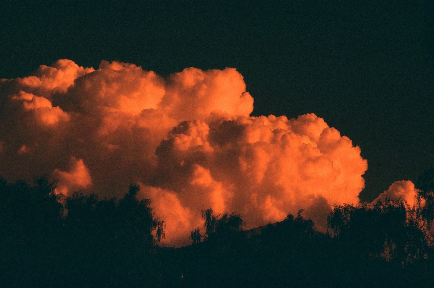 Bright orange clouds are visible above a dark silhouette of trees and a distant building.