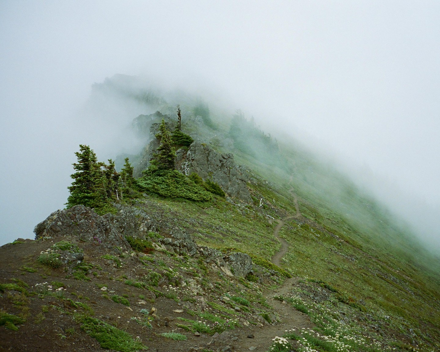 A narrow trail winds along a steep, rocky, and forested ridge shrouded in fog.