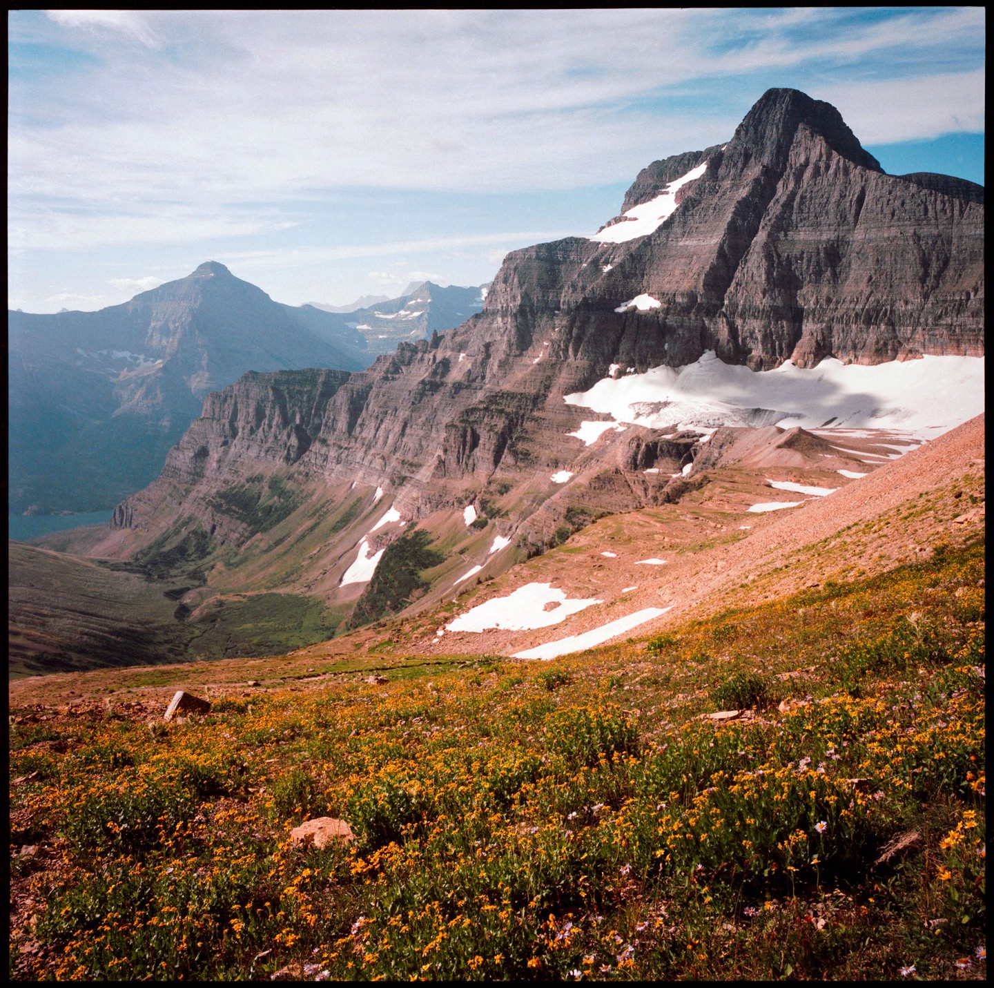 A mountain landscape shows a valley with a lake, a large mountain with snow patches, and a field of yellow wildflowers in the foreground.