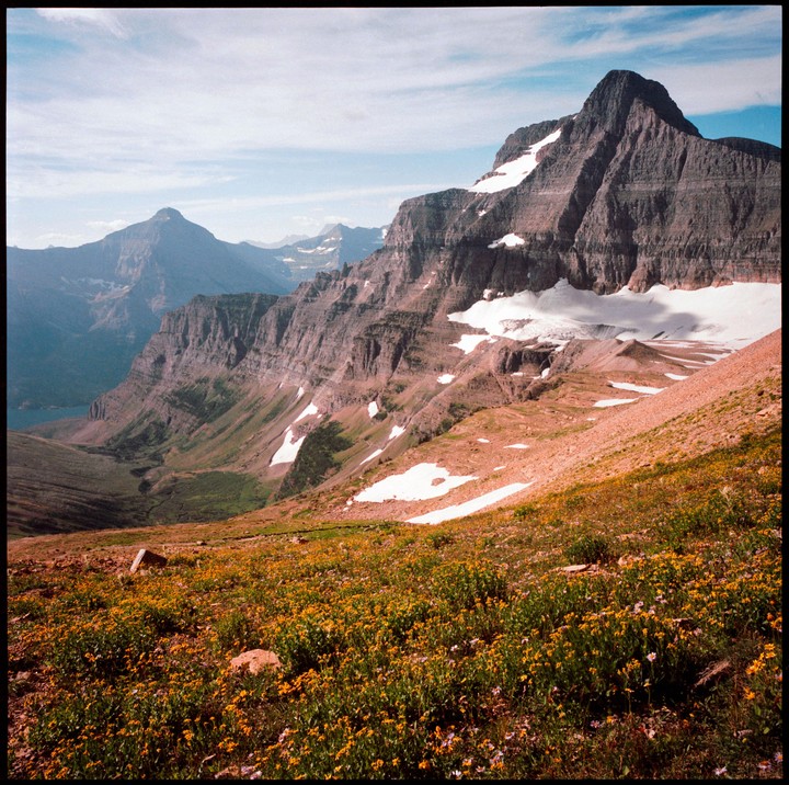 A mountain landscape shows a valley with a lake, a large mountain with snow patches, and a field of yellow wildflowers in the foreground.