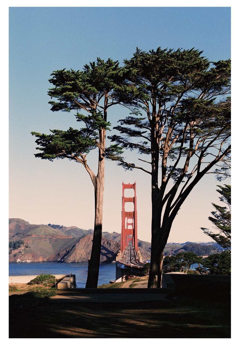 Two tall trees frame the Golden Gate Bridge, which spans a body of water with hills in the background.