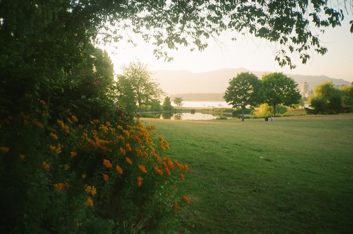 A grassy park with orange flowers in the foreground overlooks a body of water with mountains in the distance at sunset.