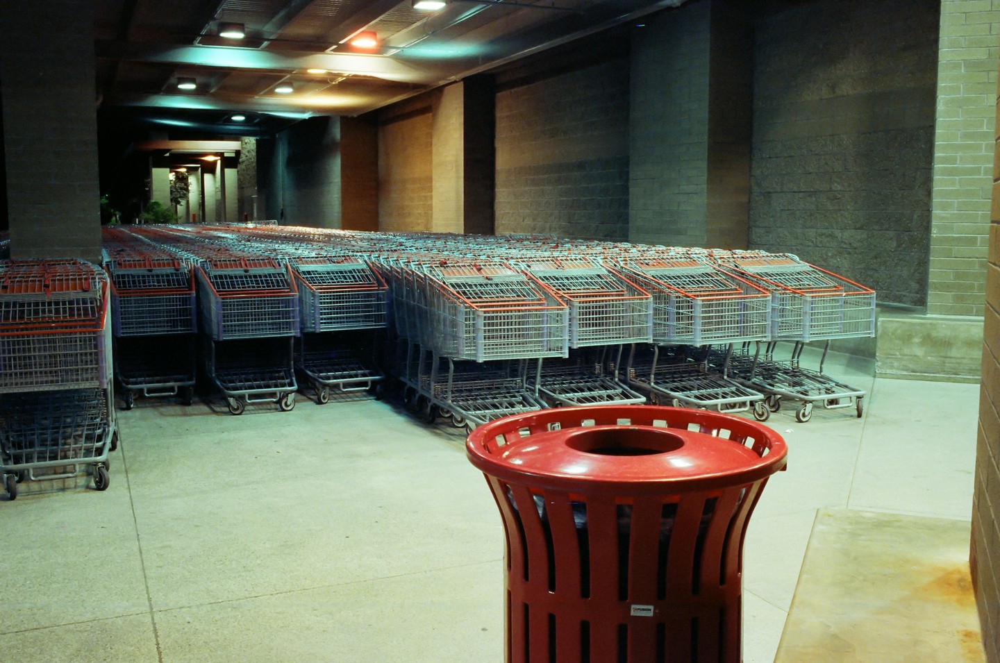 A large number of shopping carts are neatly lined up in rows under artificial lighting, with a red trash can in the foreground.