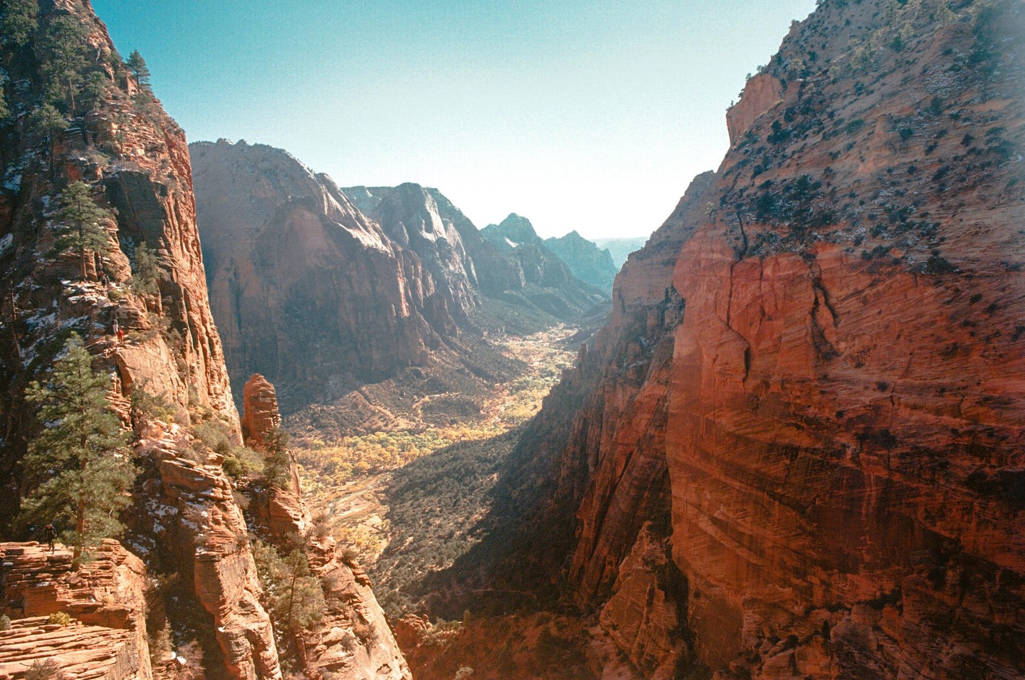 A vast canyon with steep, reddish-brown rock walls and a valley floor partially covered in yellow foliage is seen under a clear sky.