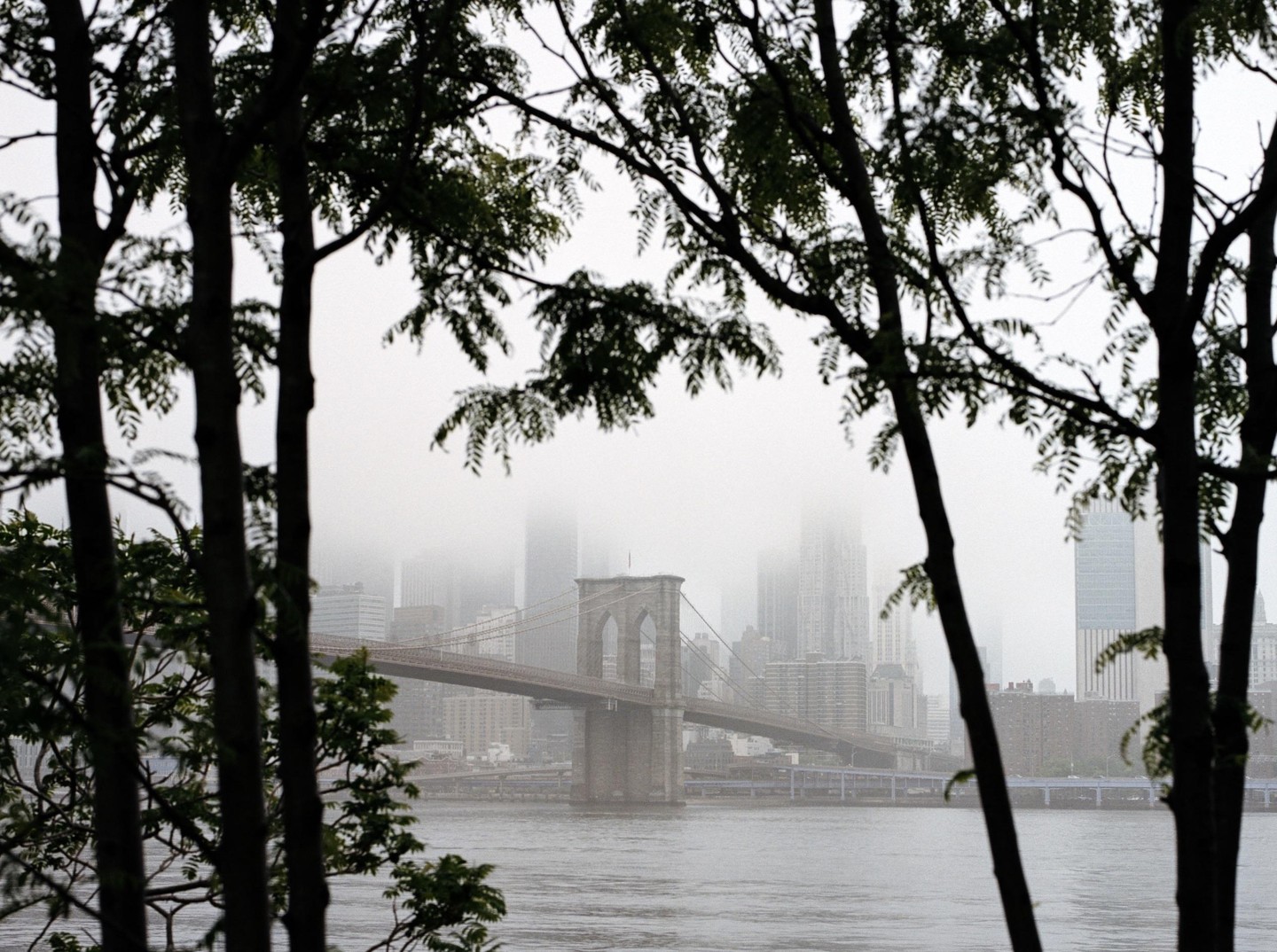 The Brooklyn Bridge is visible through a gap in the trees, with a hazy city skyline in the background.