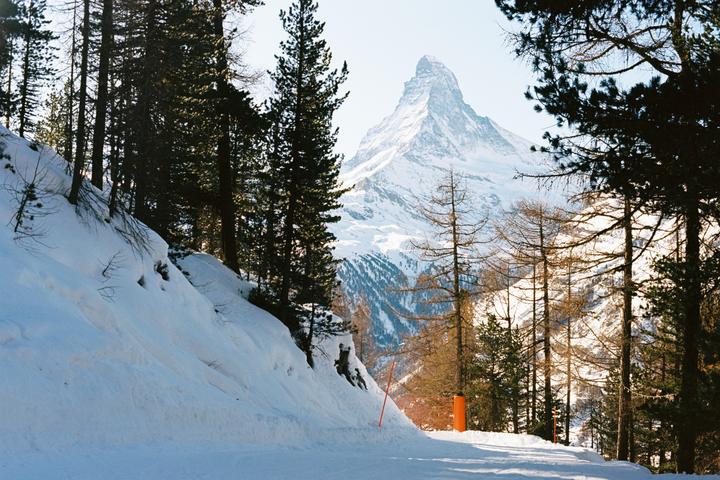 A snow-covered mountain peak rises above a forest of pine trees and a snowy slope.