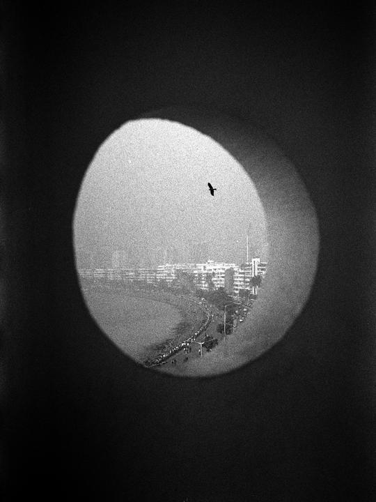 A bird flies over a city street and buildings seen through a circular opening.