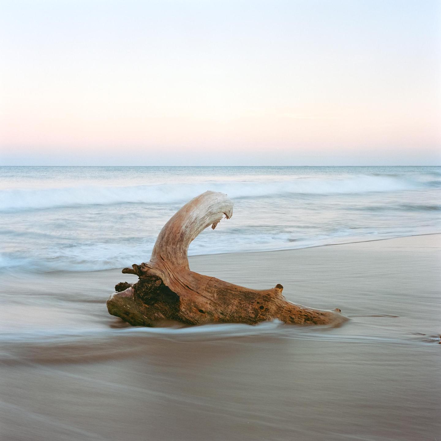 A piece of driftwood rests on a sandy beach as waves wash over it.