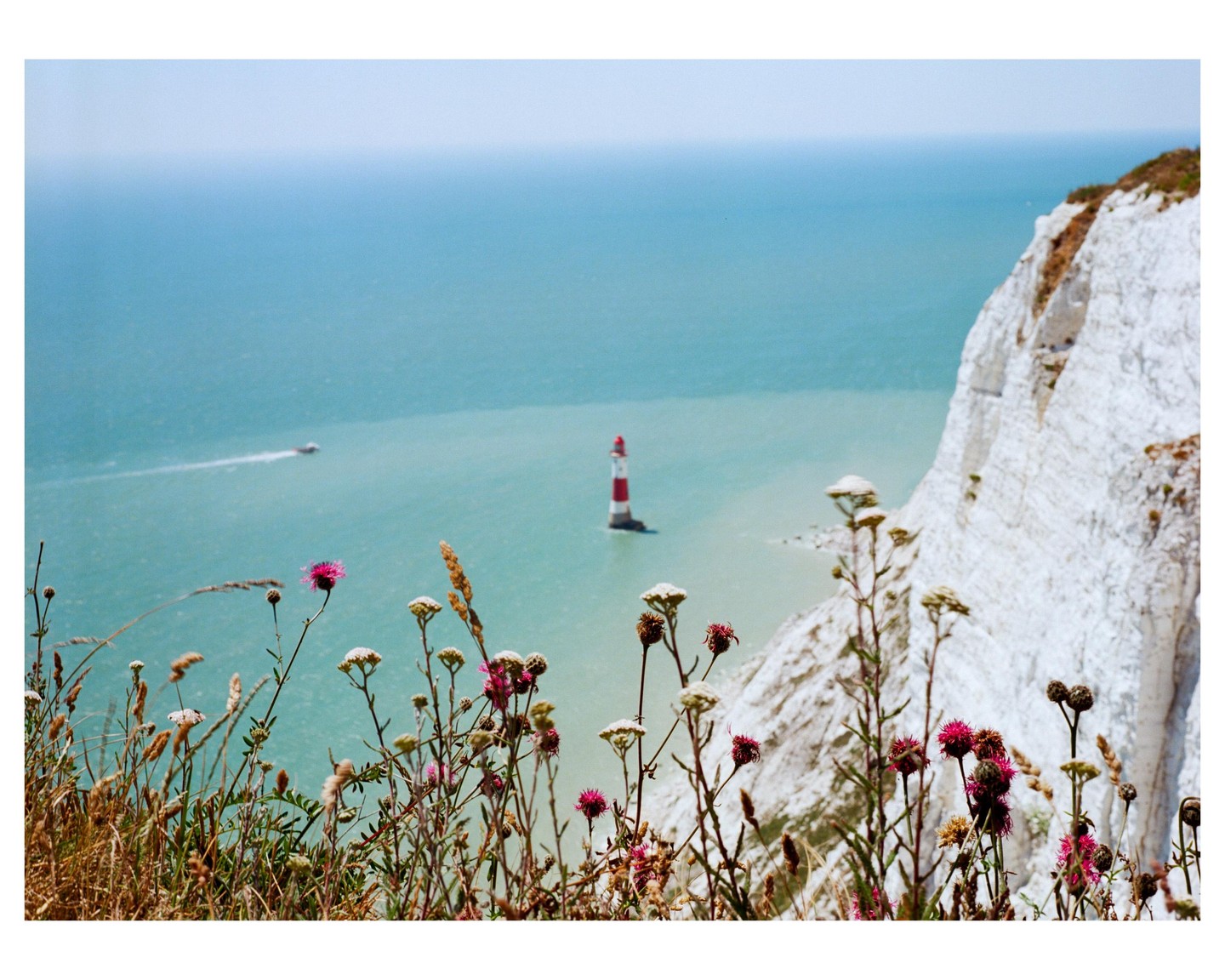 A red and white lighthouse stands in the sea below a white cliff, with wildflowers in the foreground.