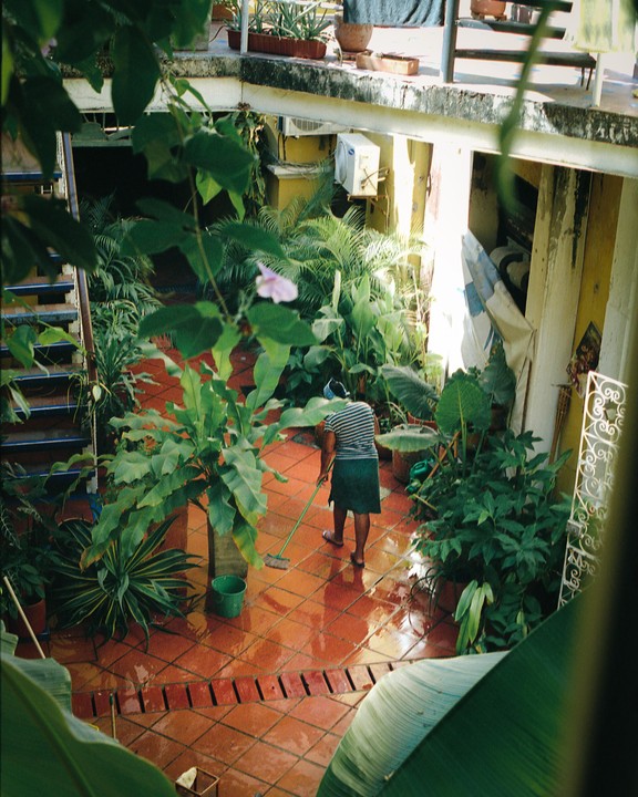 A woman sweeps a wet, tiled courtyard filled with lush green plants.