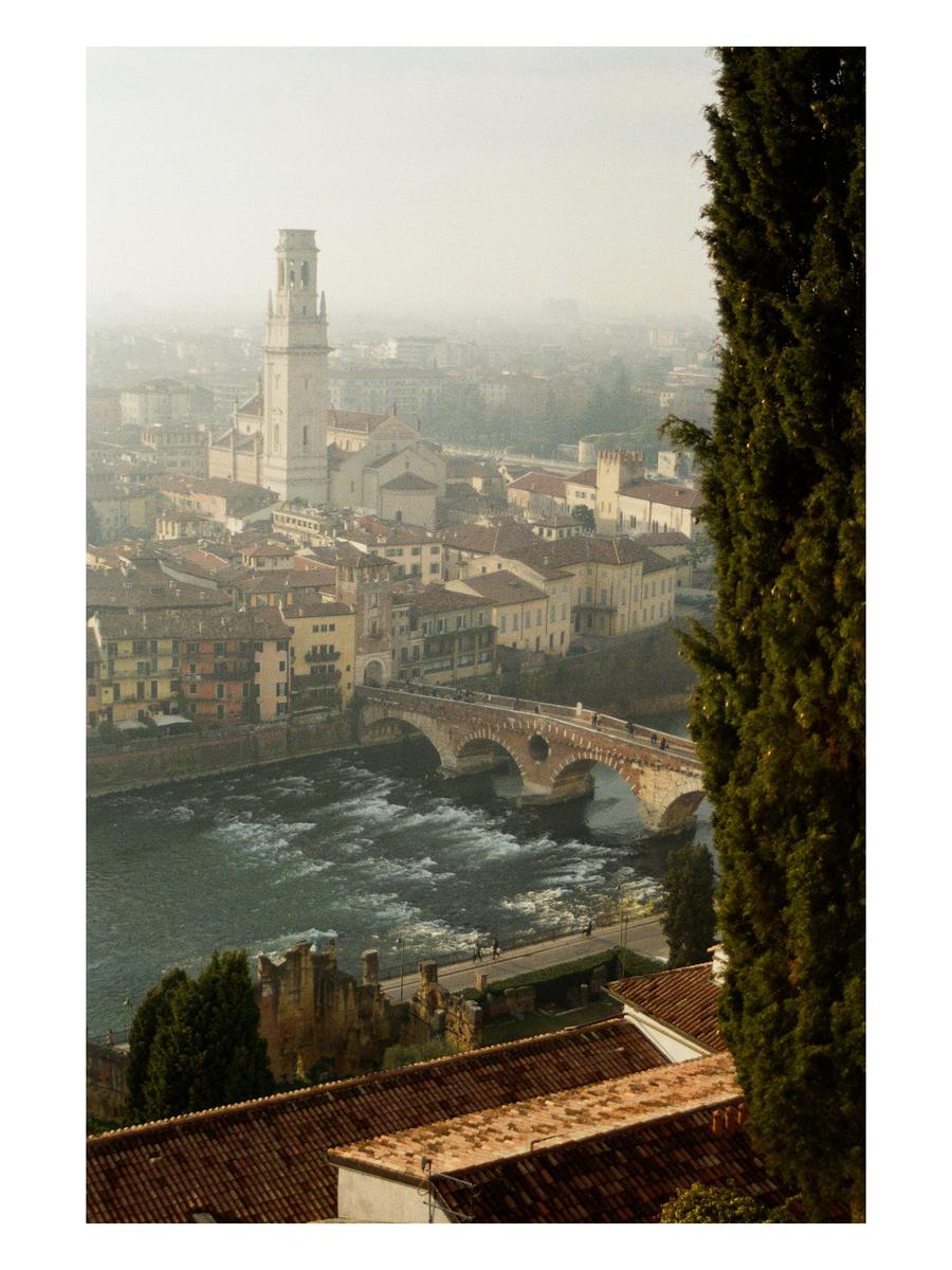 A hazy view of a city with a prominent tower, a river, and a bridge, framed by a tall tree on the right.