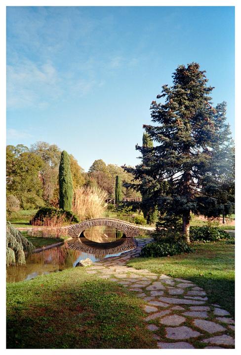 A stone bridge arches over a pond, reflecting in the water, with a large evergreen tree on the right and tall grasses and trees in the background.