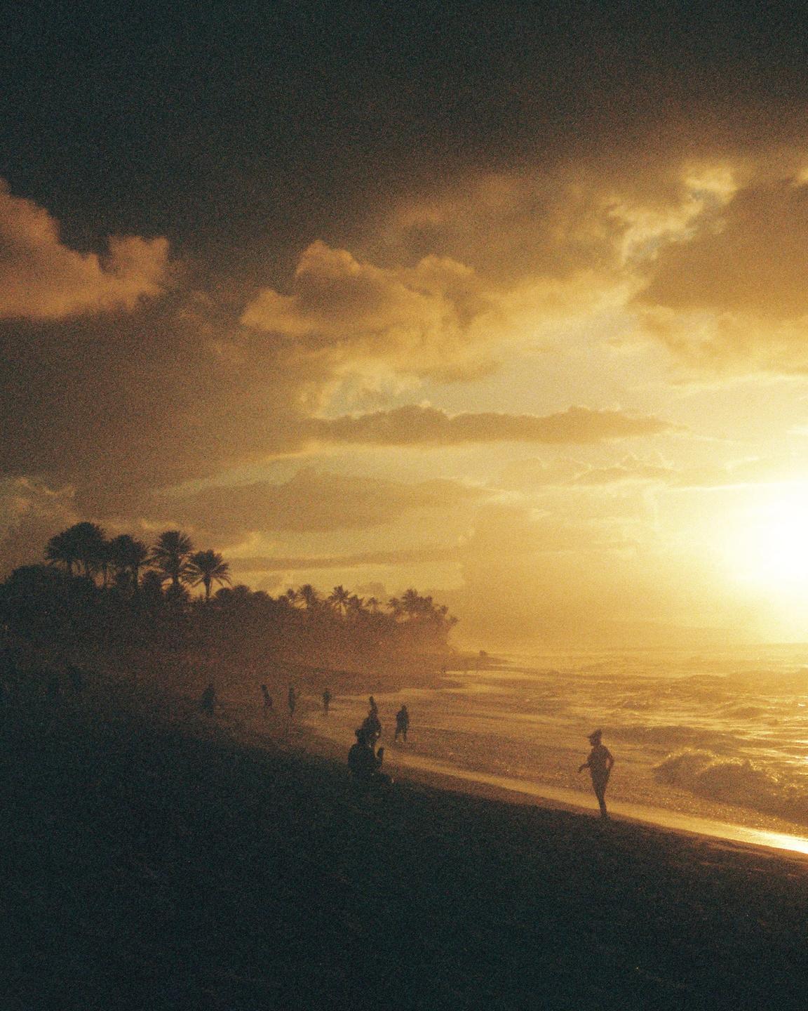 A group of people are silhouetted on a beach at sunset with palm trees in the background.