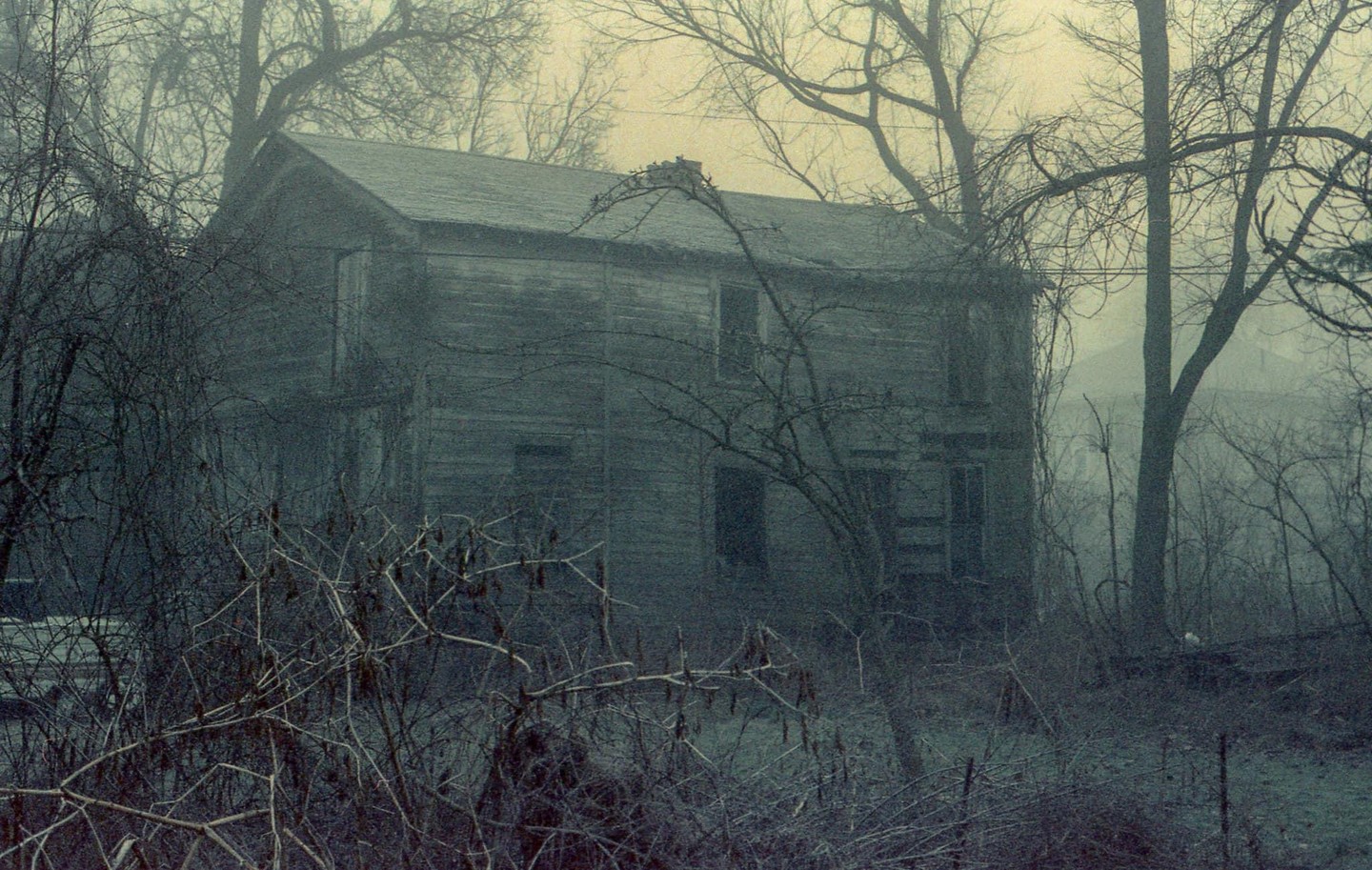 An abandoned house is surrounded by bare trees and overgrown brush on a foggy morning.