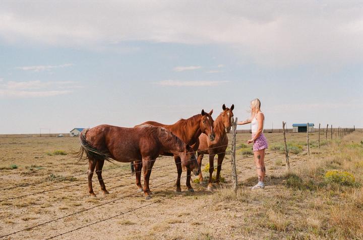 A woman stands by a barbed wire fence with three horses in a dry, grassy field under a cloudy sky.