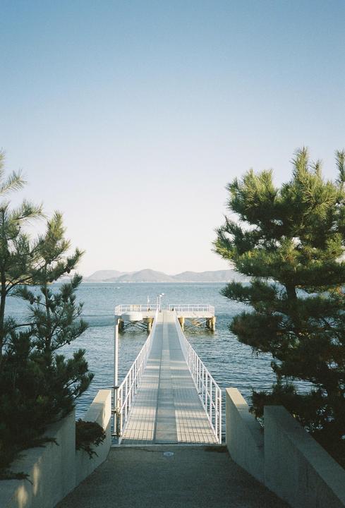 A long, narrow pier extends into the water, framed by two pine trees on either side.