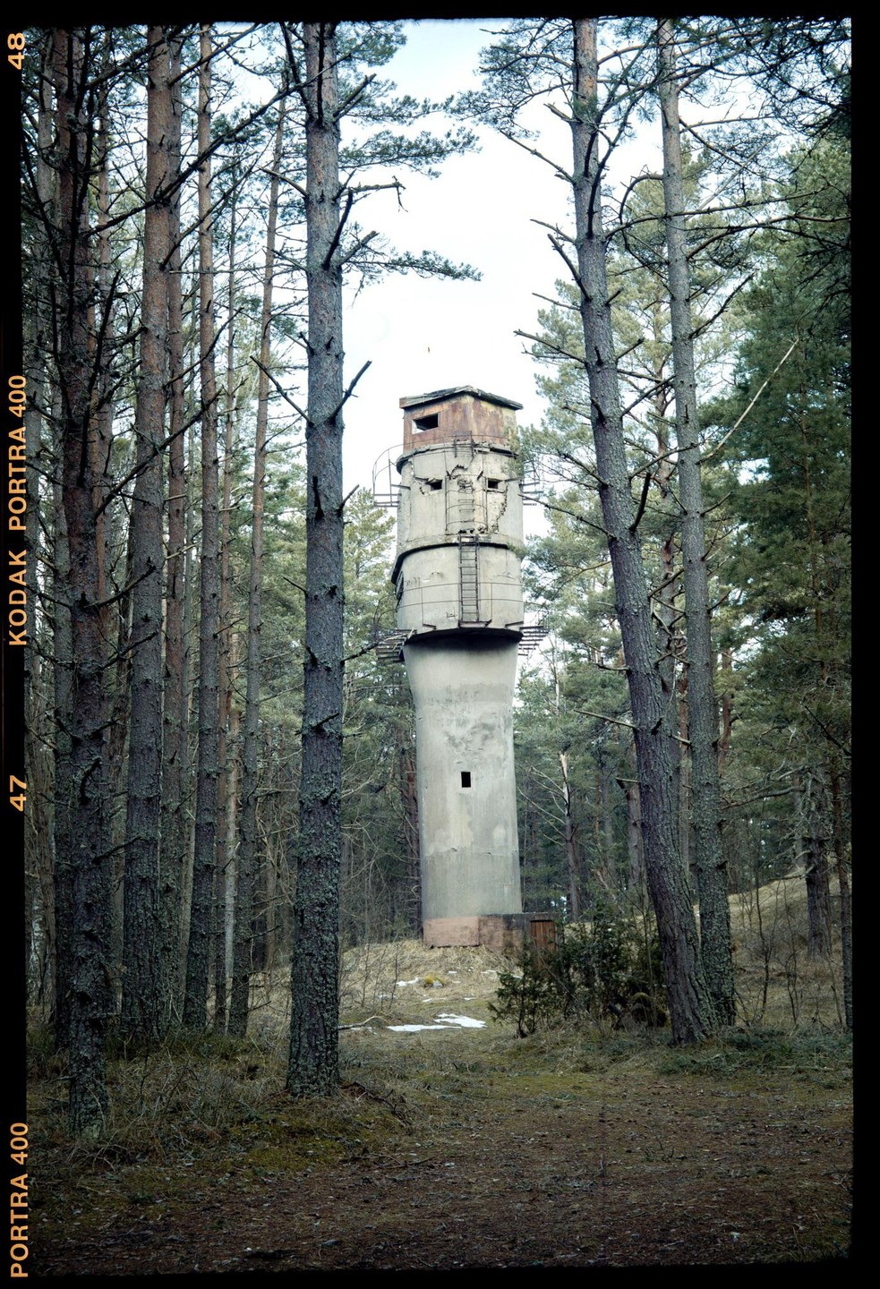 A concrete fire control tower stands tall amidst a dense pine forest.