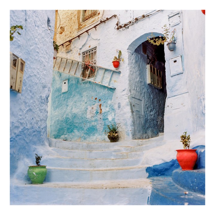 A narrow alleyway with blue walls and steps is adorned with potted plants.