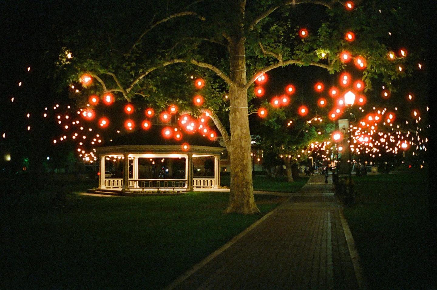 A gazebo is illuminated at night by string lights draped over trees and a streetlamp.
