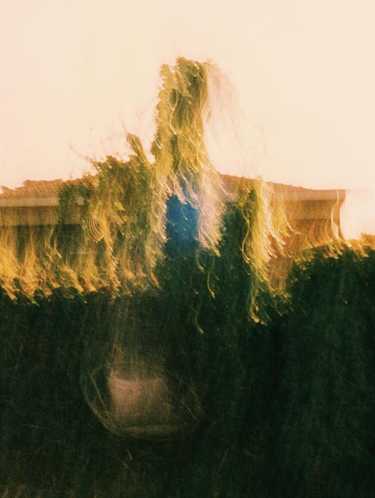 A blurry image shows a house behind a hedge with a tree in the center.