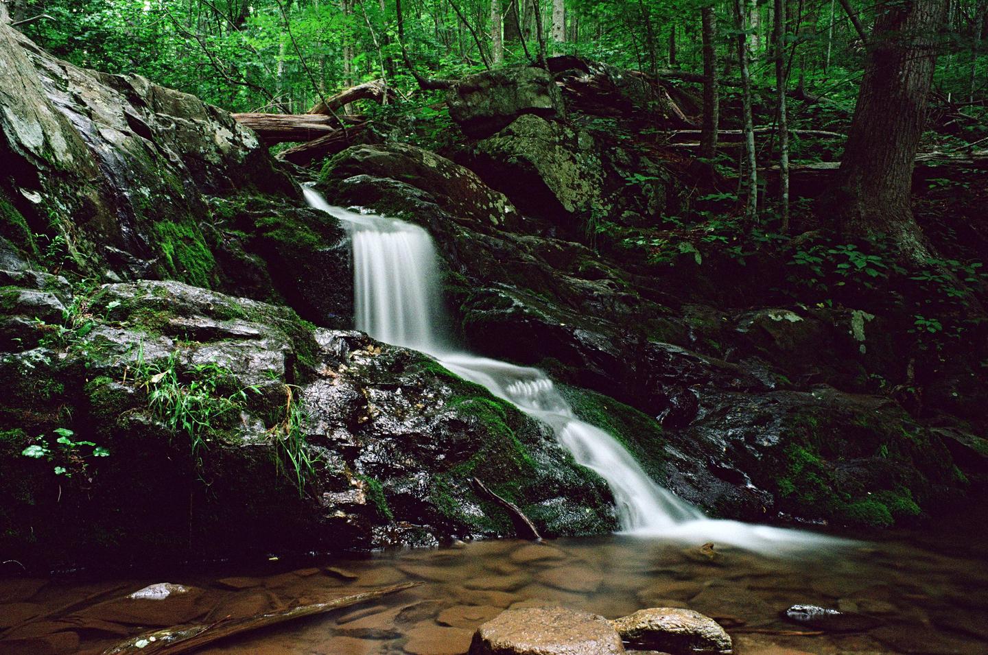 A long exposure shot shows a waterfall cascading over mossy rocks into a shallow pool in a lush forest.