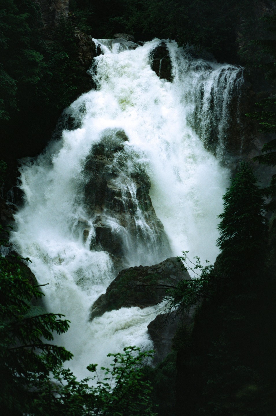 A powerful waterfall cascades over dark rocks, surrounded by lush green foliage.