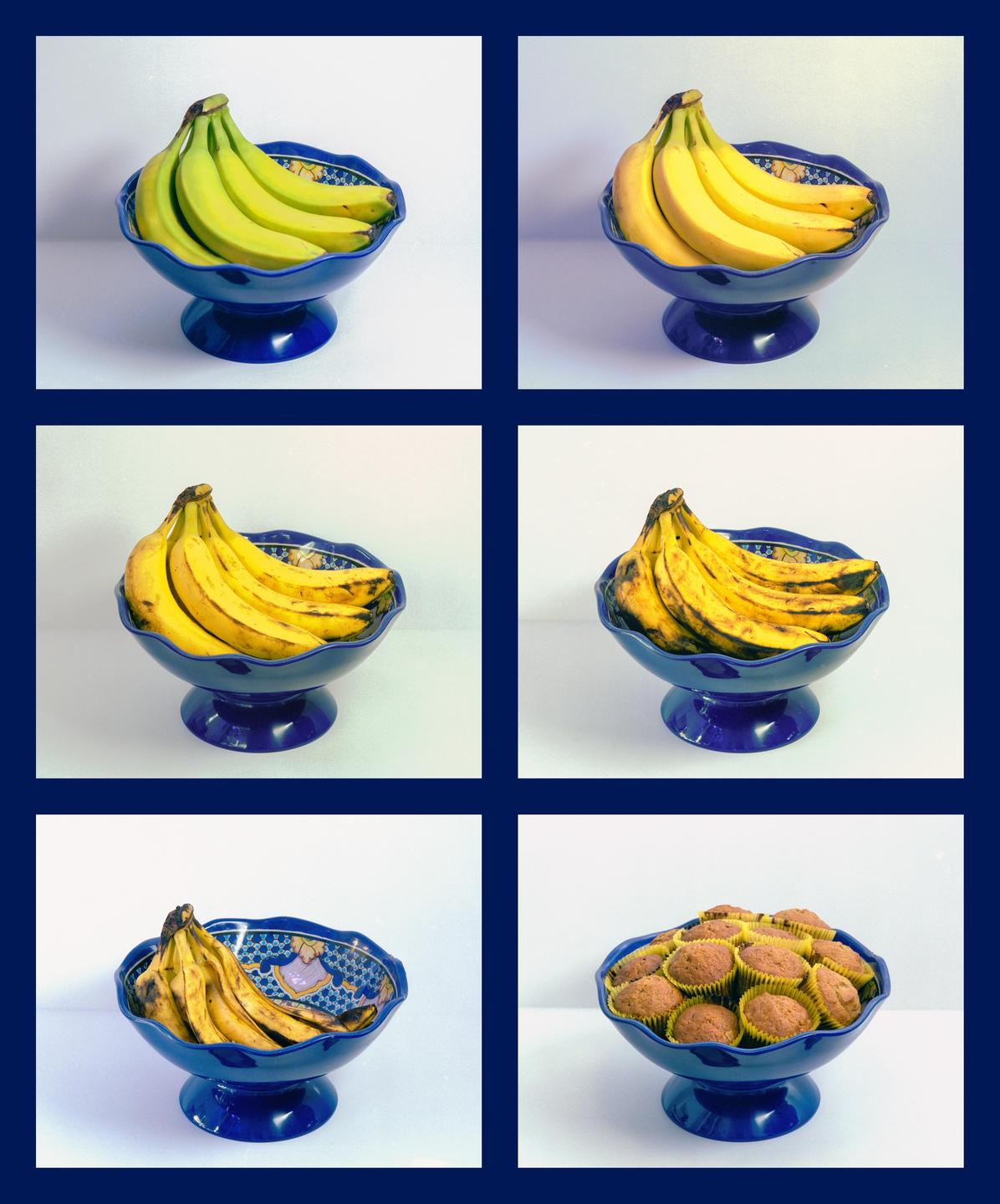 Six images show bananas ripening in a blue bowl, with the last image showing muffins in the same bowl.