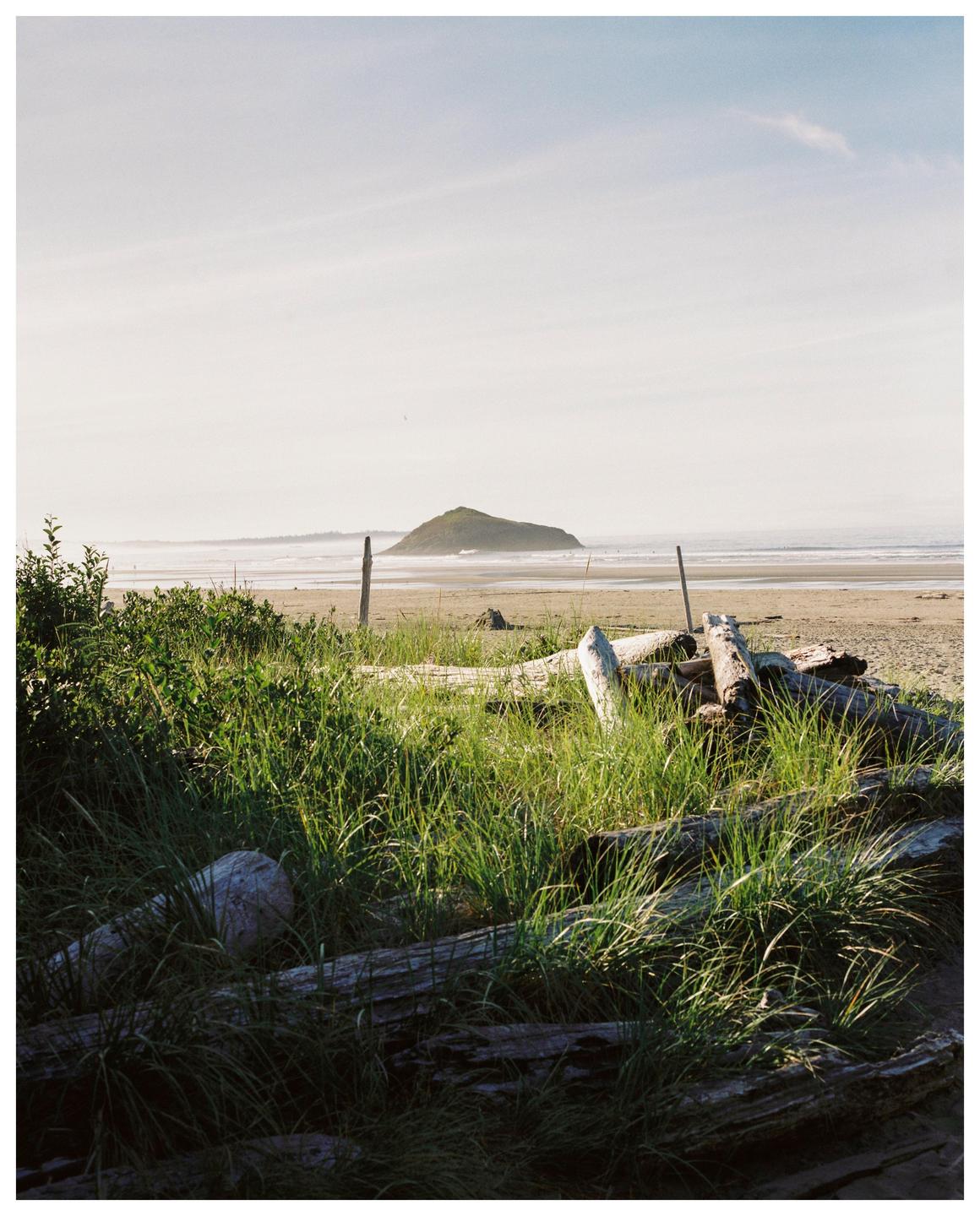 Driftwood and tall grass are in the foreground of a beach with an island in the distance.