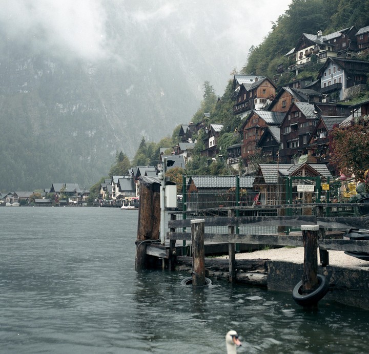 A swan swims in a lake with a village built into a misty mountain in the background.