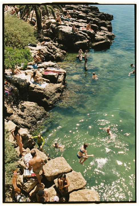 People are swimming and sunbathing on a rocky beach with clear green water and a palm tree.