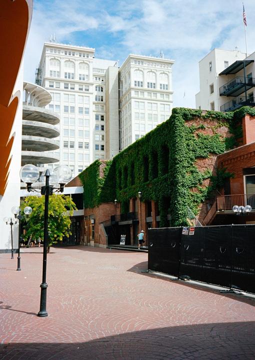 A man walks on a brick street past a brick building covered in ivy and tall white buildings.