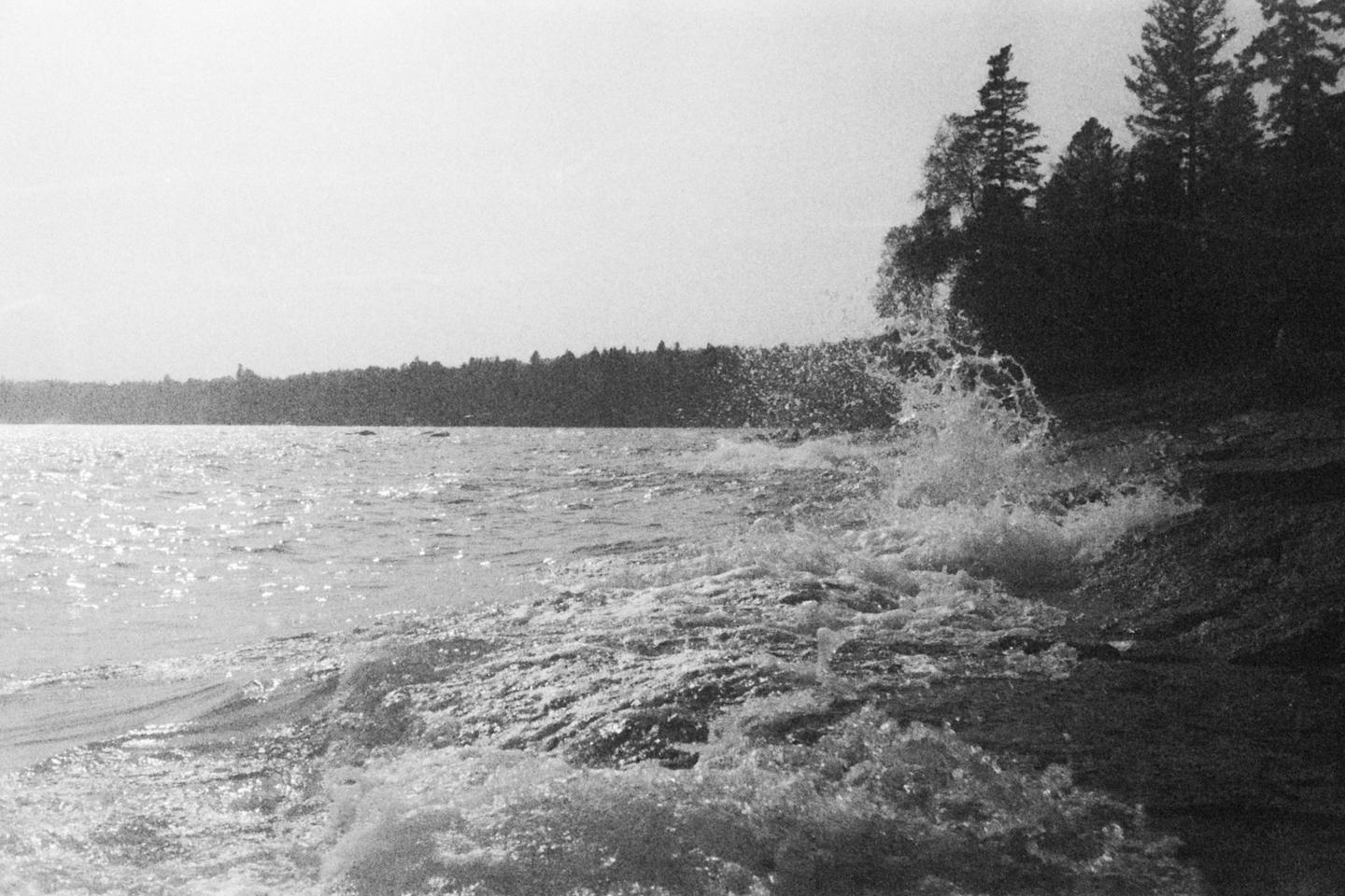 Waves crash against a rocky shore with a forest in the background.