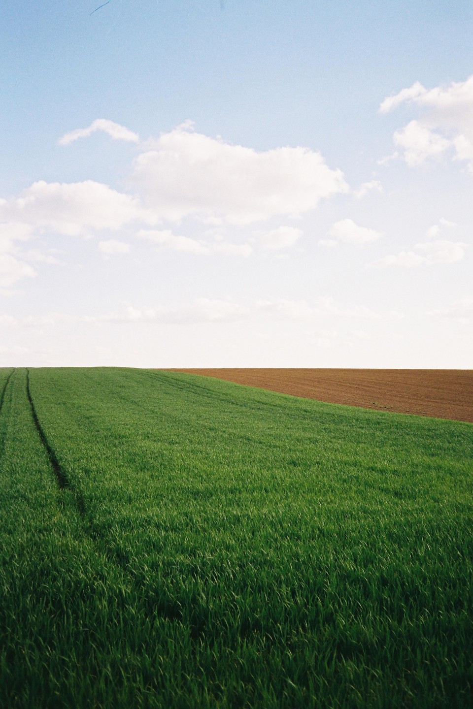 A green field meets a brown field under a sky with white clouds.