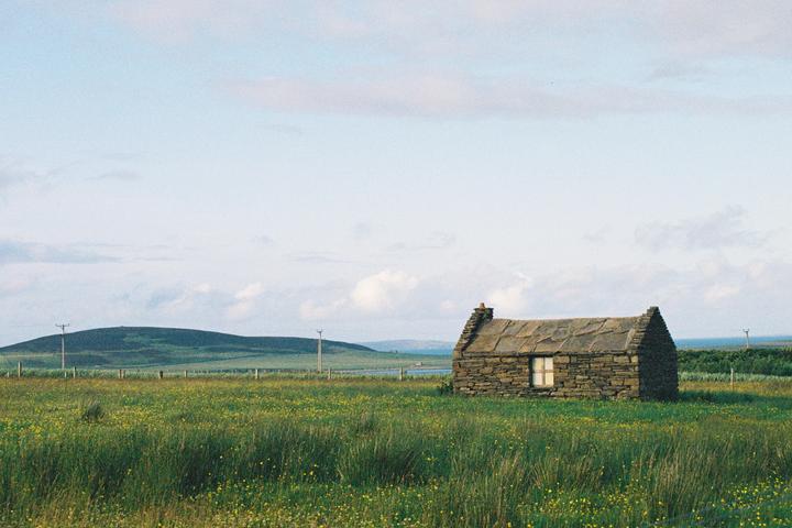 A small stone cottage with a single window sits in a field of tall grass and yellow wildflowers under a cloudy sky.