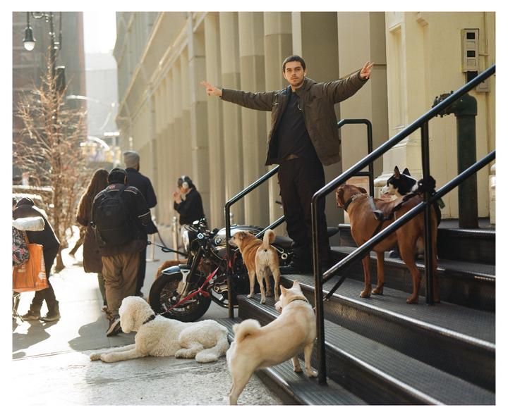 A man stands on a staircase with several dogs around him on a city street.