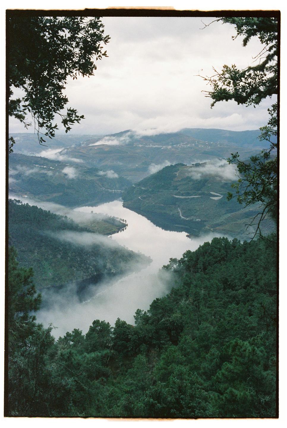 A river winds through a valley covered in trees and fog under a cloudy sky.